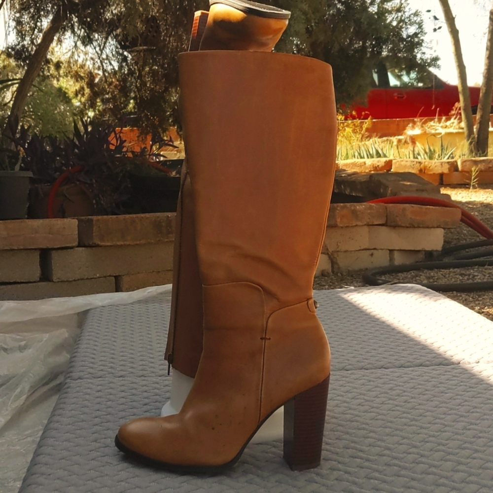 Liz & Co. sexy leather boots